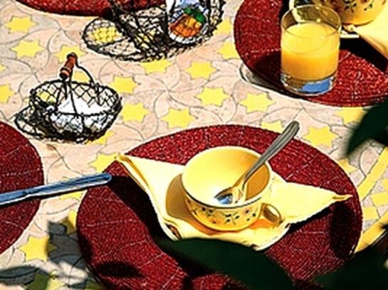 Hôtel De la Muette  | Arles | Bouches du Rhone | France 8