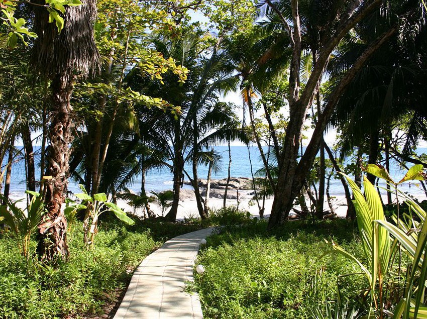 Ylang Ylang Beach Resort  | Montezuma | Puntarenas | Costa Rica 5