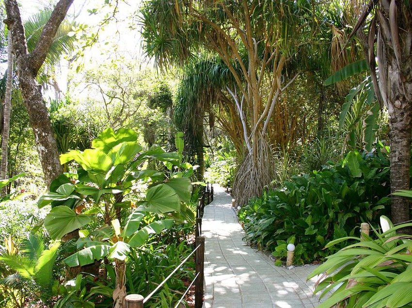 Ylang Ylang Beach Resort  | Montezuma | Puntarenas | Costa Rica 7