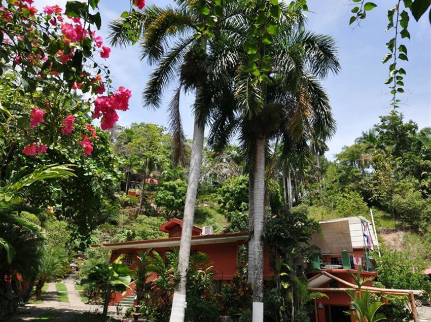 Hotel Condo Las Cascadas  | Quepos | Puntarenas | Costa Rica 4