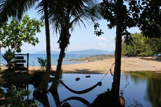 Hotel Corcovado Adventures Tent Camp  | Bahía Drake | Puntarenas | Costa Rica 11