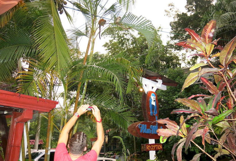 Hotel Mono Azul  | Quepos | Puntarenas | Costa Rica 11