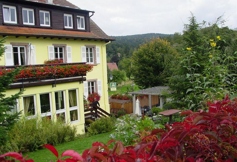 Hotel Marchal  | Le Hohwald | Bas-Rhin | France 4