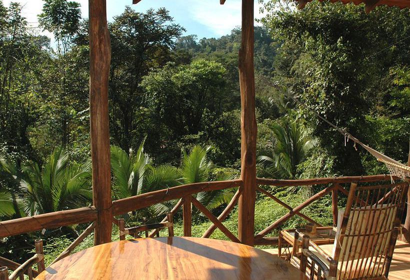 Hotel Esquinas Rainforest Lodge  | Golfito | Puntarenas | Costa Rica 16