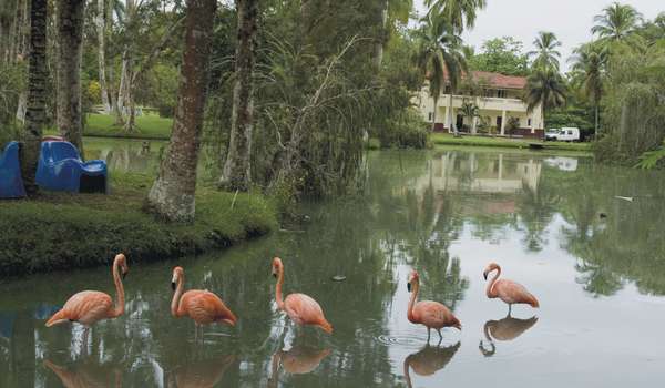 Hotel Villa San Jose Del Lago  | Sancti Spíritus | Sancti-Spiritus Province | Cuba 6