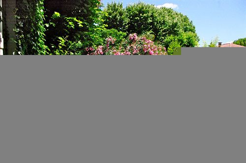 Hôtel Hostellerie le Chalet Fleuri  | Saint Rémy de Provence | Bouches du Rhone | France 8