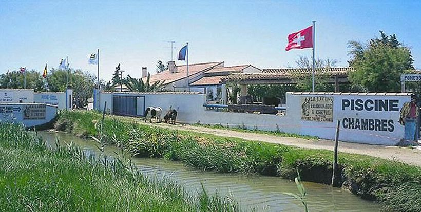 Hotel la Lagune  | Saintes Maries de la Mer | Bouches du Rhone | France 3