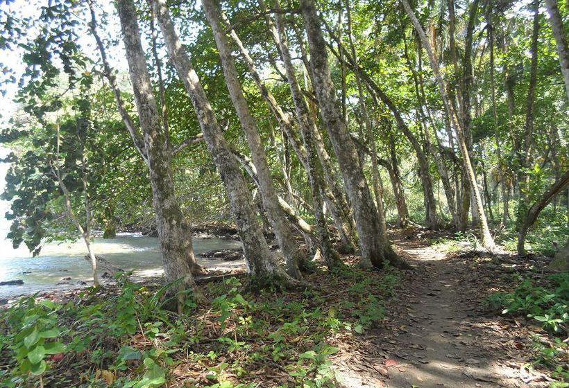 Agapi  | Puerto Viejo | Heredia | Costa Rica 18