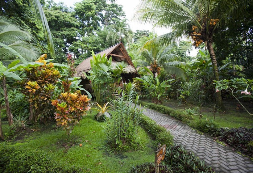 Azania Bungalows  | Puerto Viejo de Talamanca | Limón | Costa Rica 5