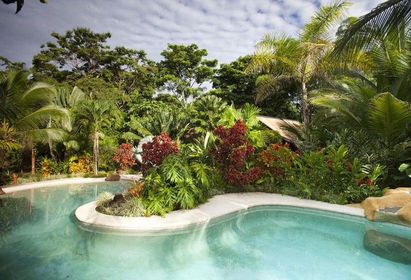 Azania Bungalows  | Puerto Viejo de Talamanca | Limón | Costa Rica 8