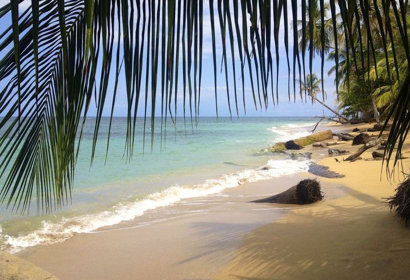 Physis Caribbean Bed & Breakfast  | Puerto Viejo de Talamanca | Limón | Costa Rica 13