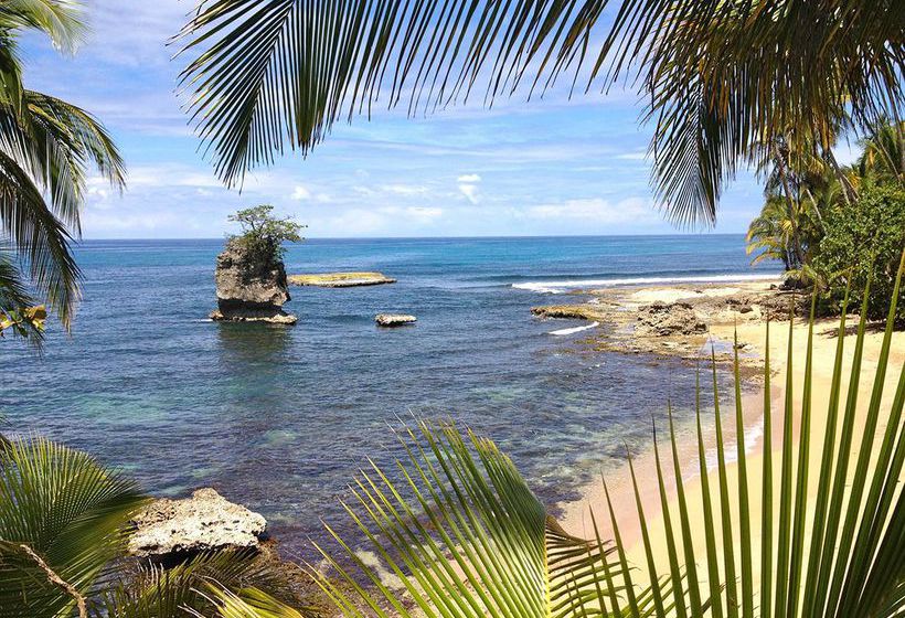 Physis Caribbean Bed & Breakfast  | Puerto Viejo de Talamanca | Limón | Costa Rica 2