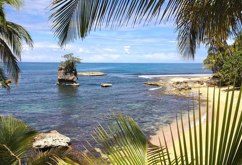 Physis Caribbean Bed & Breakfast  | Puerto Viejo de Talamanca | Limón | Costa Rica 6