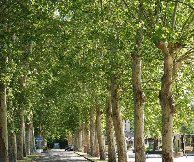 Verotel Domaine Lespinosset Dordoña