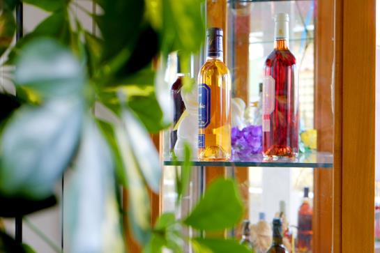 Verotel Domaine Lespinosset  | Bergerac | Dordogne | France 13