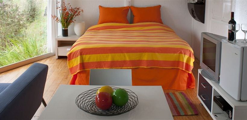 Resort Dantica Cloud Forest Lodge  | San Gerardo de Dota | San José | Costa Rica 3