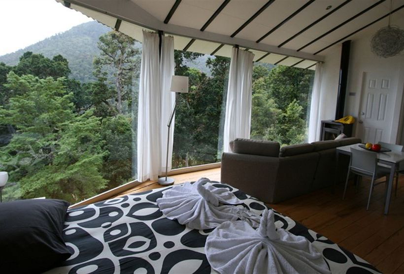 Resort Dantica Cloud Forest Lodge  | San Gerardo de Dota | San José | Costa Rica 4