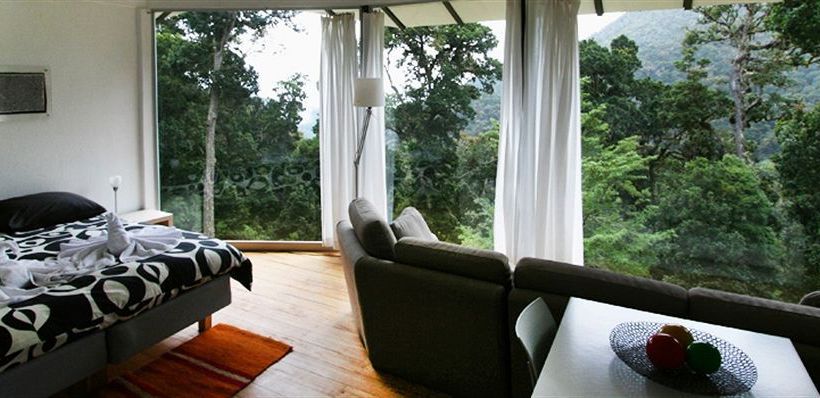 Resort Dantica Cloud Forest Lodge  | San Gerardo de Dota | San José | Costa Rica 6