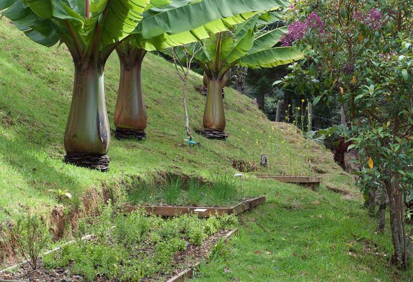 Resort Dantica Cloud Forest Lodge  | San Gerardo de Dota | San José | Costa Rica 7