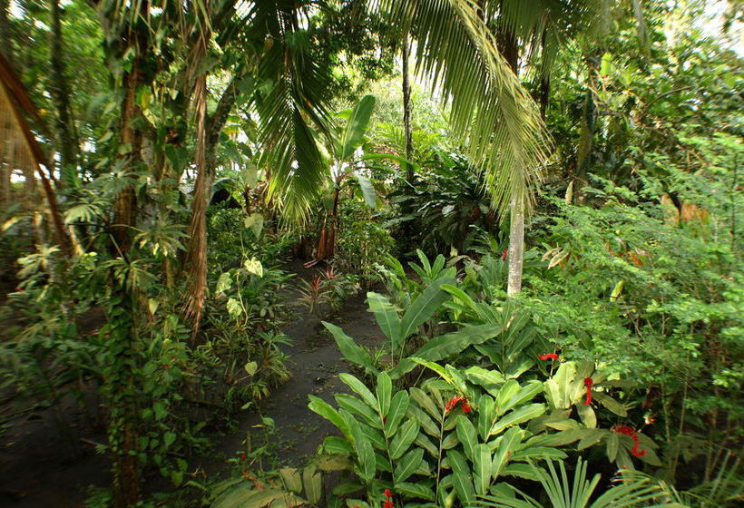 Hotel Casa Camarona  | Puerto Viejo de Talamanca | Limón | Costa Rica 11