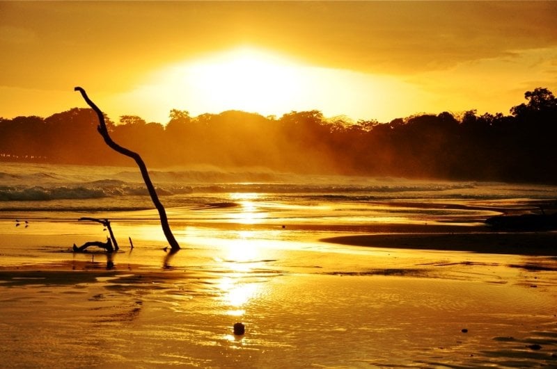 Hotel Casa Camarona  | Puerto Viejo de Talamanca | Limón | Costa Rica 19