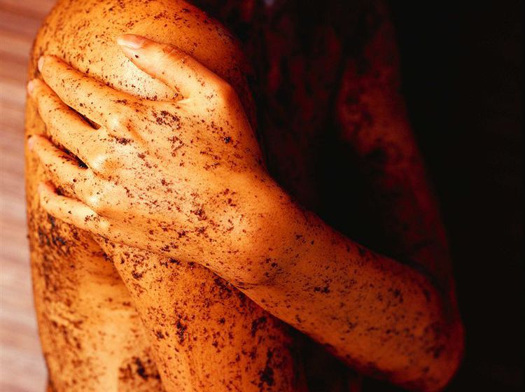 Villa Kerasy Chateaux & Hotels De France  | Vannes | Morbihan | Francia 20