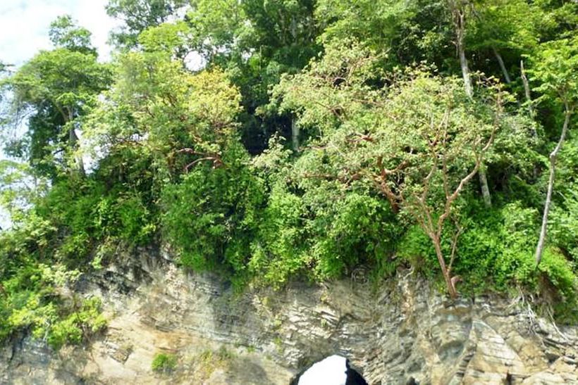 Hotel Luz De Luna  | Uvita | Puntarenas | Costa Rica 12