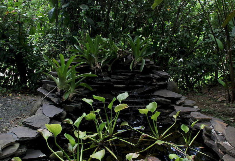 Hotel Luz De Luna  | Uvita | Puntarenas | Costa Rica 4