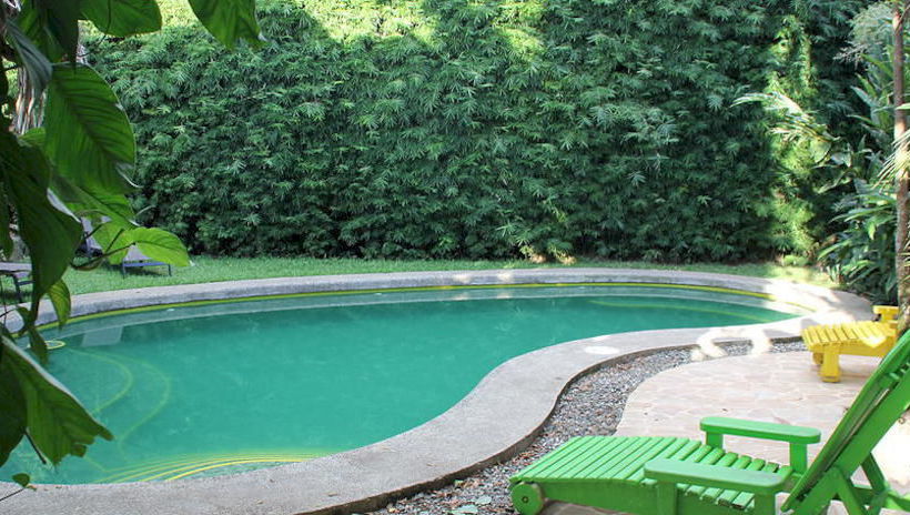 Hotel Luz De Luna  | Uvita | Puntarenas | Costa Rica 5