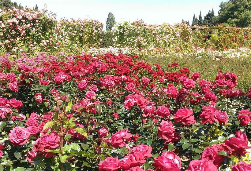 Hôtel Le Mas Des Figues  | Saint Rémy de Provence | Bouches du Rhone | France 3