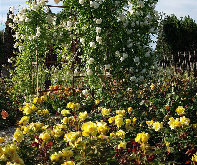 Hôtel Le Mas Des Figues  | Saint Rémy de Provence | Bouches du Rhone | France 4