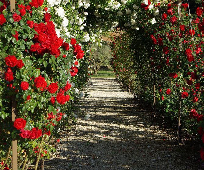 Hôtel Le Mas Des Figues  | Saint Rémy de Provence | Bouches du Rhone | France 5