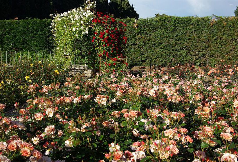 Hôtel Le Mas Des Figues  | Saint Rémy de Provence | Bouches du Rhone | France 6