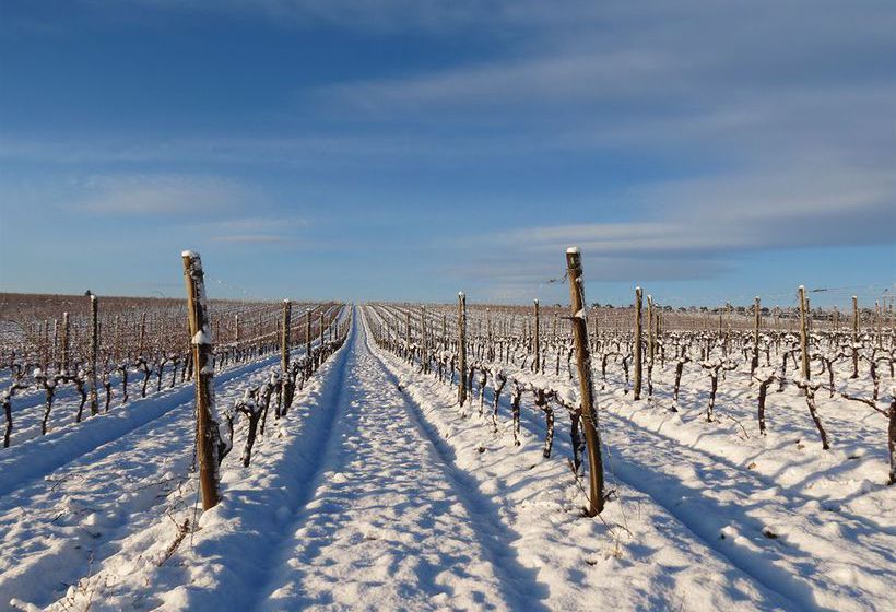 Hôtel Chateau L'hospitalet  | Narbonne | Aude | France 1