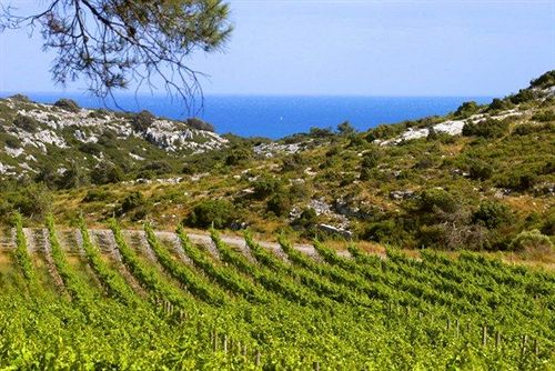 Hôtel Chateau L'hospitalet  | Narbonne | Aude | France 5