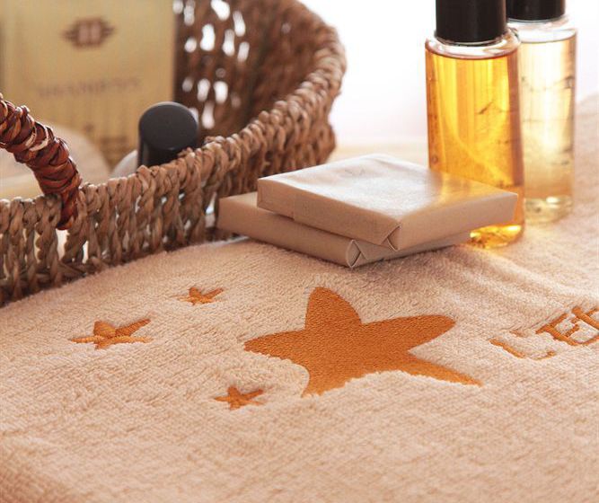 Hôtel L'Etoile Bleue  | Merignac | Gironde | France 6