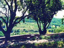 Hotel Chateau La Roque Chateaux  | La Roque-sur-Pernes | Vaucluse | Francia 1