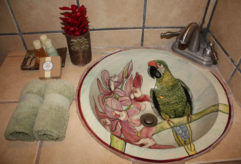 Hotel Tierra De Sueños Lodge Wellness Center Puerto Viejo de Talamanca Limón