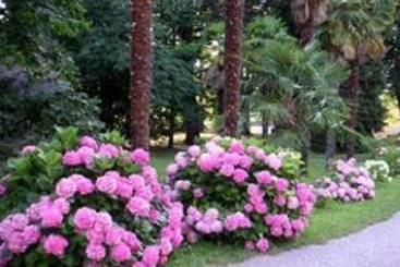 Hôtel Le Mas Fleuri  | Vernet les Bains | Pyrenees-Orientales | France 7