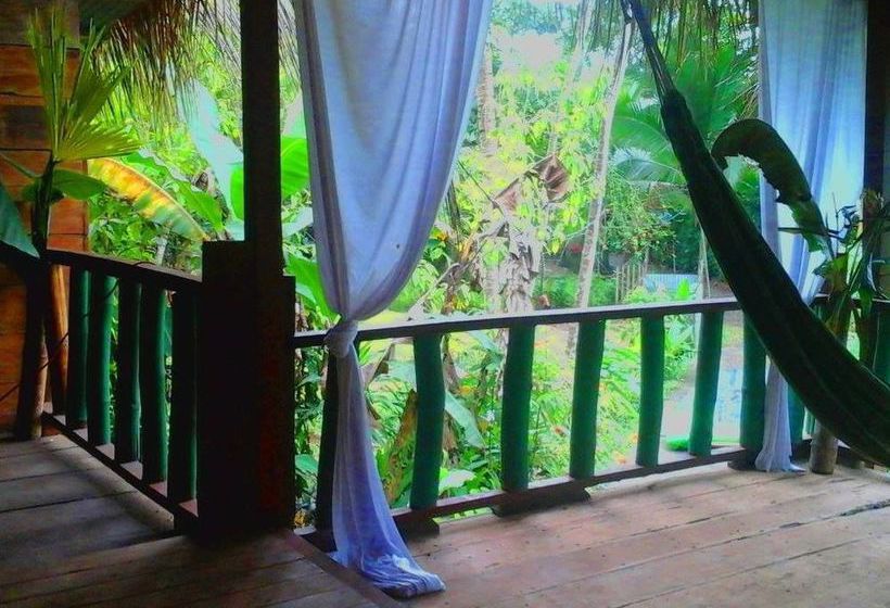 Blue Butterfly  | Puerto Viejo de Talamanca | Limón | Costa Rica 1