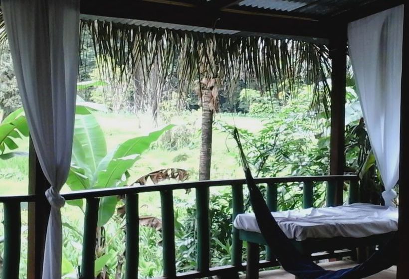 Blue Butterfly  | Puerto Viejo de Talamanca | Limón | Costa Rica 10