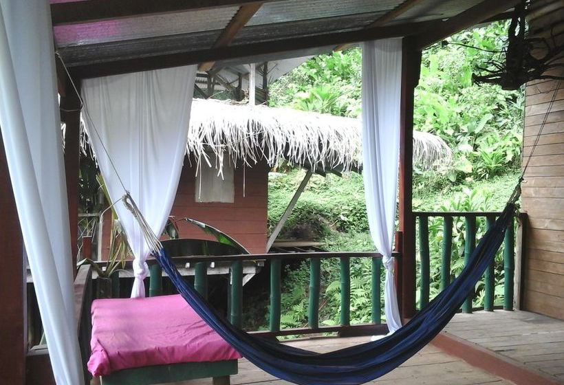 Blue Butterfly  | Puerto Viejo de Talamanca | Limón | Costa Rica 11