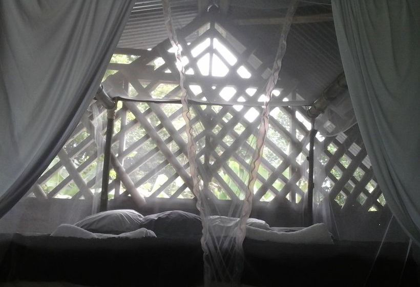 Blue Butterfly  | Puerto Viejo de Talamanca | Limón | Costa Rica 12