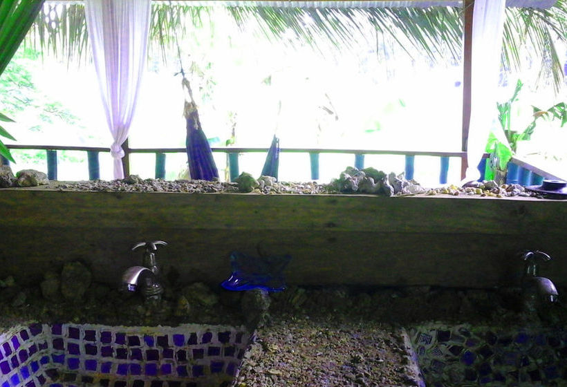 Blue Butterfly  | Puerto Viejo de Talamanca | Limón | Costa Rica 13