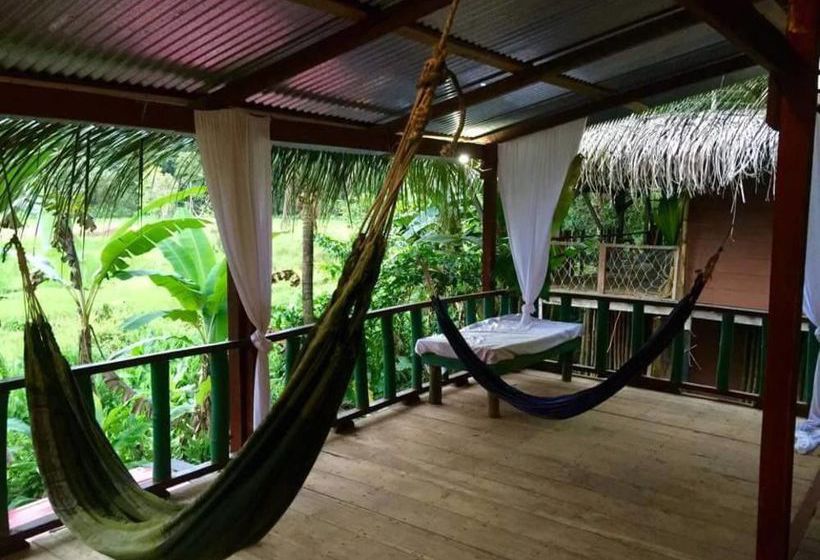 Blue Butterfly  | Puerto Viejo de Talamanca | Limón | Costa Rica 14