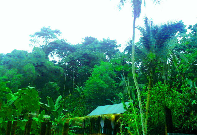 Blue Butterfly  | Puerto Viejo de Talamanca | Limón | Costa Rica 15