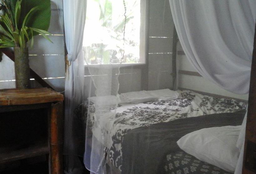 Blue Butterfly  | Puerto Viejo de Talamanca | Limón | Costa Rica 16