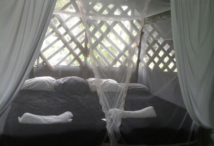 Blue Butterfly  | Puerto Viejo de Talamanca | Limón | Costa Rica 17