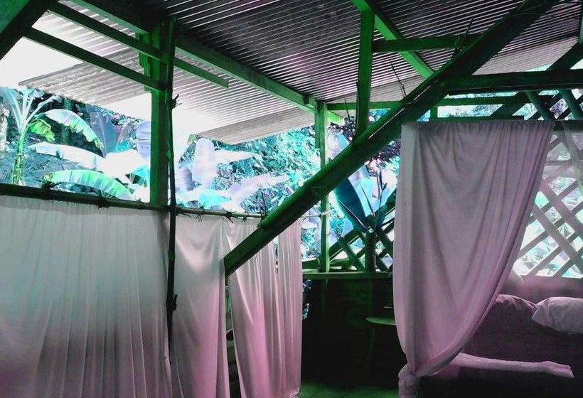 Blue Butterfly  | Puerto Viejo de Talamanca | Limón | Costa Rica 19