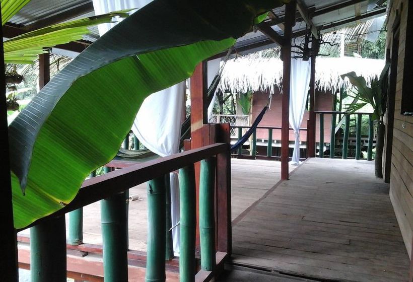 Blue Butterfly  | Puerto Viejo de Talamanca | Limón | Costa Rica 20